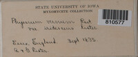 Image Associated With the Occurrence